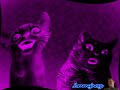 Preview 2 Numa Cat Effects 3