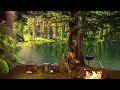 Forest Ambience  with Nature Sounds and Relaxing Campfire to Relax