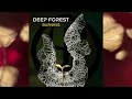 Burning Sun - New album first single teaser | Deep Forest