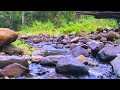 Gentle Stream Sounds | Relaxing Stream Sounds use for Relaxation, Sleep, insomnia