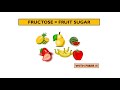 Sugar can change your mind | Marta Sochocka | TEDxWroclaw