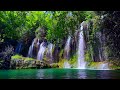 🟣 Relaxing Waterfall Sounds for Sleep | Fall Asleep Fast With 6 HOURS of Soothing Water White Noise