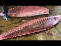 485 kg Super-Giant Bluefin Tuna 3 minutes Fluency Cut