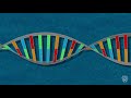 CRISPR Explained