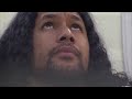 Troy Polamalu's UNREAL Career Highlights | NFL Legends