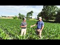 Optimizing Crop Health with Innovative Fertilization | Concept AgriTek & Soil Analytics