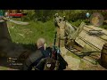 The Witcher 3 quest bug (Curse of Carvarnon)