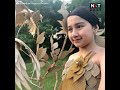 Balikbayan boxes, ginawang bird costume | NXT