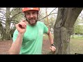 How to get a ROPE high in a TREE,  pro arborist explains that common question
