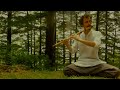 Quiet Moments #5 | 30 min Live Flute Meditation | Ambient Music with Nature Sounds