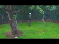NUT MISSION IMPOSSIBLE ? Funny Squirrel Video.