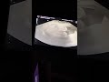 Tori’s Ultrasound 11/13/2023