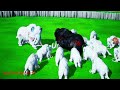 20 Zombie Black Mammoths Vs 20 White Woolly Mammoths Ultimate Animal Revolt Epic Battle