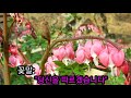 금낭화 #야생화 #산골생활 #산골