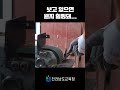 🐎베테랑 장제사의 시원시원한 말 발굽 깎기 🛠️ l 전남교육TV l 한국말산업고등학교