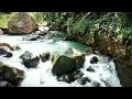 Relaxing river sounds for sleeping well soothing relief healing meditation refreshing of mind
