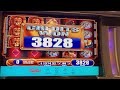 **HUGE BONUS!!!** MAX BET!!! WINNING ON KING OF AFRICA WMS SLOT MACHINE