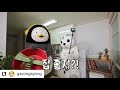 #펭수 #물범의 집뜰이 #헌실? ㅋ