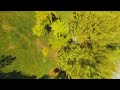 Motion Blur & Trees | Runcam Thumb 4K W (uncut)