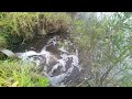 misty rainy morning, Denmark western australia