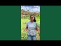 Learn About Agroforestry with Ileana Figueroa