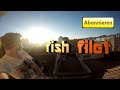 The Magic Tonight - fish filet ft. Lisa | Albumrelease 
