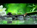 Relaxing Music to Relieve Stress, Anxiety and Depression 🌿 Heals The Mind, Body and Soul #27