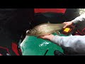 Lake Simcoe Ice fishing for whitefish 2021