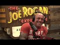 Joe Rogan Experience #2176 - Chad Daniels