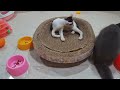 Try Not To Laugh Cats And Dogs Videos😻🐶New Funny Animals Video 2024