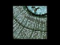 Glass Animals - Leaflings (Original Mix)