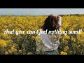 The Lumineers- Ophelia (Lyrics)