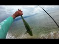 Beach Fishing the Storm for Rare Bite!!