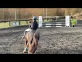 [Team Berwald] Malou Valentin & Frk. Flippa - LB1* MET. S2 - første stilspring - KARR marts 2021