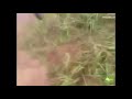 Shocking!! Russian military Ka-52 helicopter 'accidentally fire rockets!!