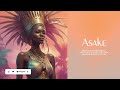 Afro Beat Instrumental ''Asake'' (Guitar Afrobeat Instru) | Prod. BeatsbySV