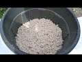 Tutorial on Making Fermented Feed from Tofu Dregs, Economical and Environmentally Friendly