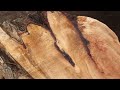 This Log Left Me Speechless | Sawmill ASMR