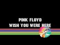 Wish You Were Here Pink Floyd Cover
