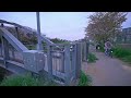 Calm DJI RS4 test among Asaka Cherry Blossoms・4K HDR