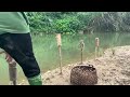 Fishing Video 2024 🏆 | BBC Earth VN #fishing