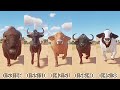 Bovids Animals Speed Races in Planet Zoo in 4K UHD included Bison, Blue Wildebeest, Buffalo