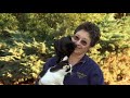 World's Craziest Cat Lady? 🐱 | Bondi Vet Clips | Bondi Vet