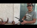 Best Way to Cut Down a Palm Tree without a Chainsaw