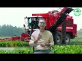 The Most Modern Agriculture Machines That Are At Another Level , How To Harvest Sugar Beet