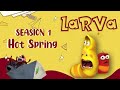 Strange Disease - LARVA Season 3 - Funny Cartoon - Special Video by LARVA.