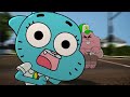 Anais Can Code Too? | The Check | Gumball | Cartoon Network