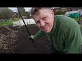 Clearing an Allotment Full Of Trash (Worth The Effort?)  part 2