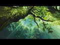 Mother's Heart - Princess Mononoke amv