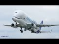 Airbus Beluga XL4 F-GXLJ | Finkenwerder Takeoff Spectacle! - 4K